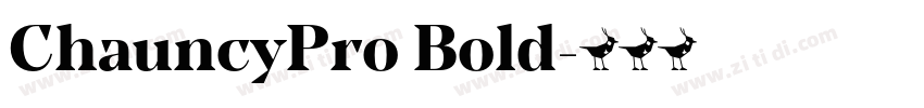 ChauncyPro Bold字体转换